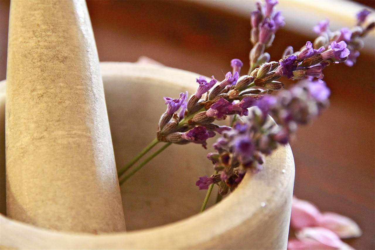 Fioritura della lavanda: scopri come utilizzarla in cucina e per il benessere. Aromi e benefici della lavanda.